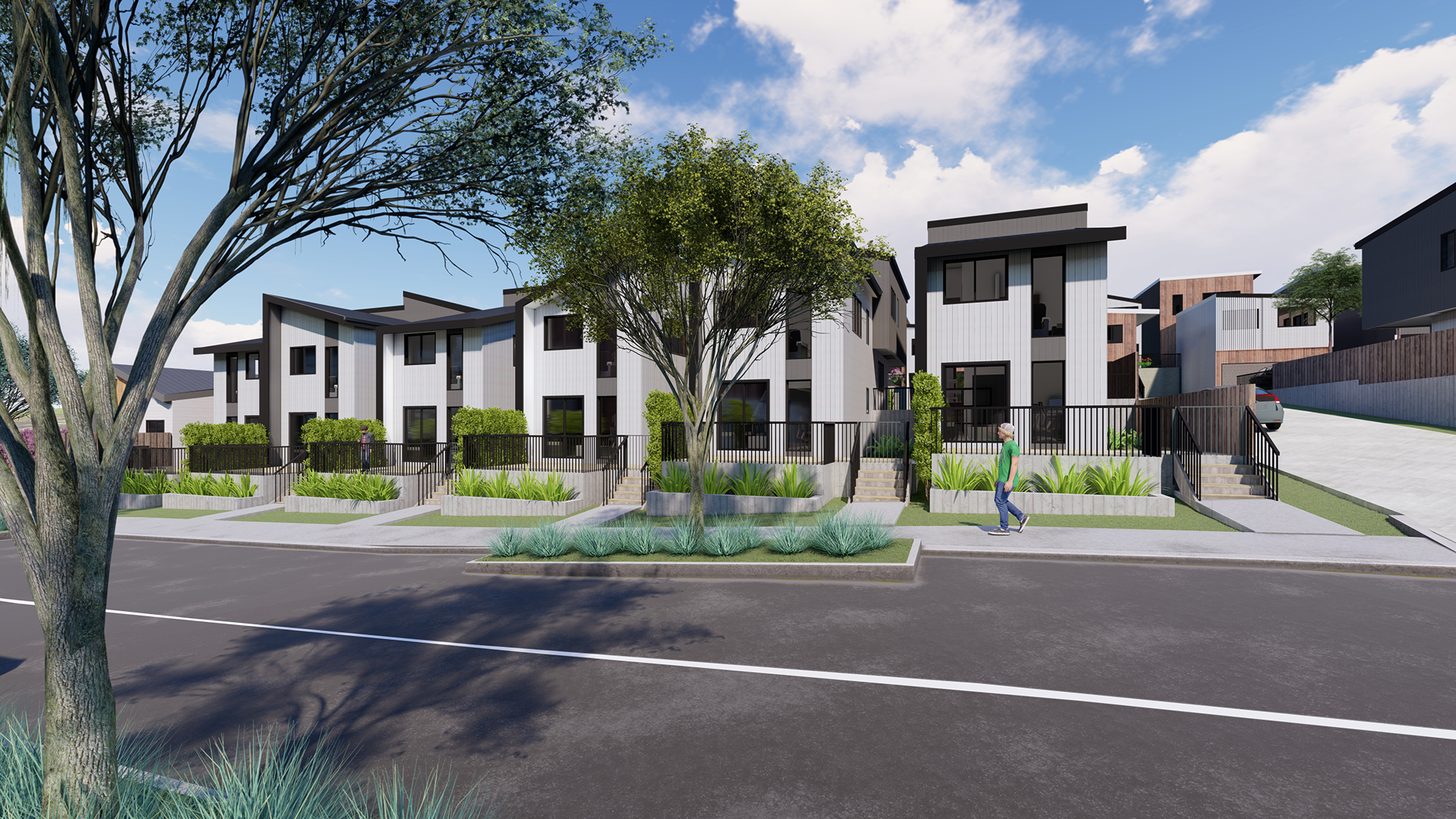 Monika Olson Design_Landscape design for street trees_Auckland